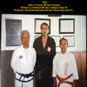 Pukulan - TaeKyon Karate - Shorin Ryu Karate